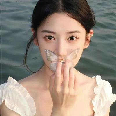 动物总动员